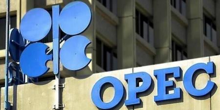 "أوبك" تثبت توقعاتها للطلب العالمي على النفط حتى آخر 2025 بالبلدي | BeLBaLaDy