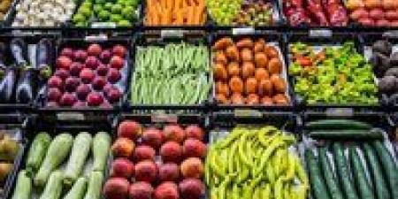 بالبلدي: أسعار الخضروات والفاكهة اليوم الثلاثاء 14 - 5 – 2024 في السوق المصري