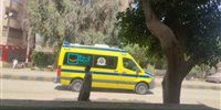 بالبلدي : مصرع طفل وإصابة 3 أشخاص في حادثين متفرقين بأسوان