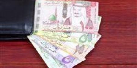 بالبلدي: سعر الريال السعودي بالبنوك اليوم السبت 18-5-2024