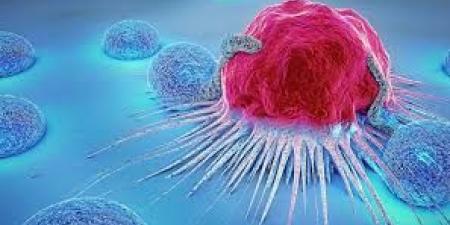 بالبلدي : اكتشاف طريقة جديدة لموت الخلايا السرطانية من العلاج الكيميائي