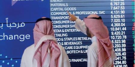 بدء اكتتاب الأفراد في طرح "مجموعة فقيه" و"مياهنا" بسوق الأسهم السعودية بالبلدي | BeLBaLaDy