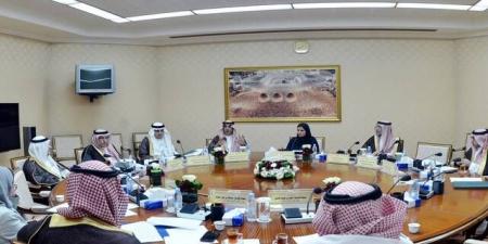 لجنة التجارة بمجلس الشورى تعقد اجتماعاً مع مسؤولي جمعية حماية المستهلك بالبلدي | BeLBaLaDy