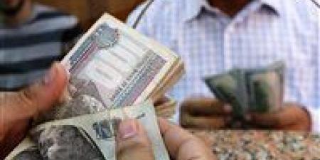بالبلدي: أسعار الدولار بالبنوك المصرية اليوم الثلاثاء 21 مايو 2024