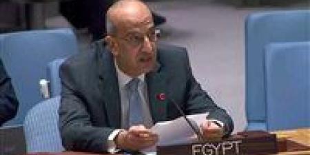 بالبلدي : مندوب مصر لدى الأمم المتحدة: نرفض العدوان الإسرائيلي على رفح الفلسطينية