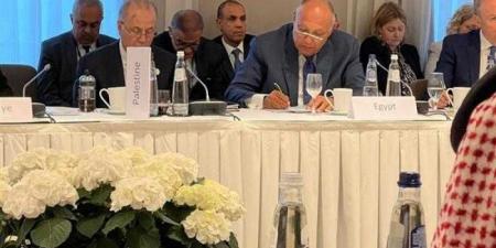 الاجتماع الوزاري حول جهود تنفيذ حل الدولتين بما في ذلك الاعتراف بالدولة الفلسطينية