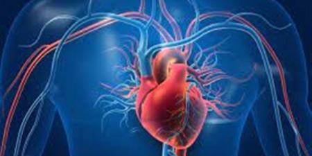 بالبلدي : احتشاء عضلة القلب.. ما هي الإسعافات الأولية التي يجب فعلها؟