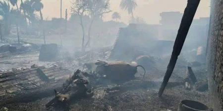 بالبلدي : إصابة 10 باختناق ونفوق 50 رأس ماشية في حريق بـ4 منازل و12 حوشا بسوهاج| صور