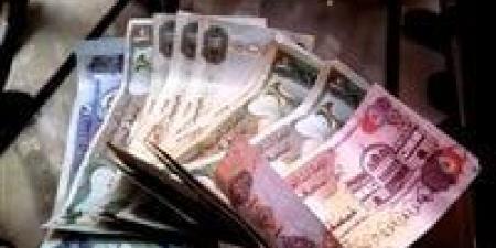 بالبلدي : سعر الدرهم الإماراتي اليوم الأحد في البنوك المصرية