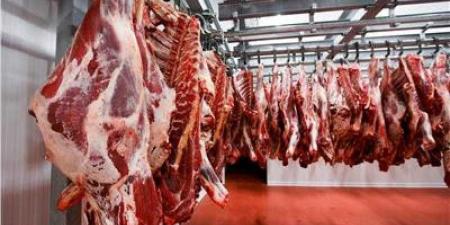 بالبلدي : وزير التموين : ضخ 150 طن يومي من اللحوم الطازجة بــ 1500 منفذ