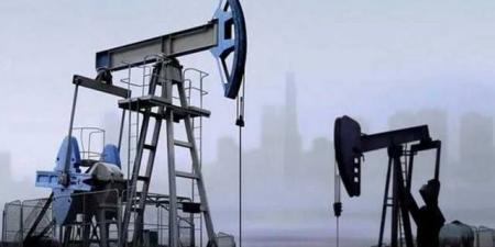 ارتفاع أسعار النفط في نهاية تعاملات الاثنين بالبلدي | BeLBaLaDy