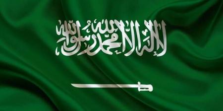 السعودية ترحب بتبنّي مجلس الأمن قرارا للوقف الفوري لإطلاق النار في غزة بالبلدي | BeLBaLaDy