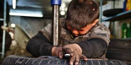 بيان عربي مشترك يدعو لاتخاذ إجراءات فورية وفعالة للحَدِّ من عمل الأطفال بالبلدي | BeLBaLaDy