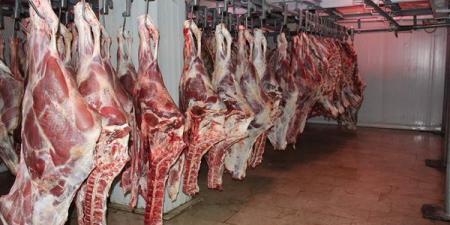 بالبلدي : الكيو بـ300 جنيه.. تخفيض أسعار اللحوم الحمراء ببني سويف قبل عيد الأضحى