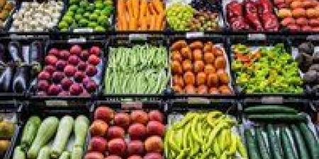 بالبلدي: أسعار الخضروات اليوم الثلاثاء 18-6-2024 في قنا