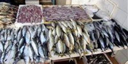 بالبلدي: أسعار السمك في الأسواق اليوم الثلاثاء 18 يونيو 2024