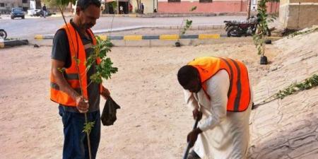 بالبلدي: تكثيف الجهود لزيادة المسطحات الخضراء وزراعة الأشجار بأسوان