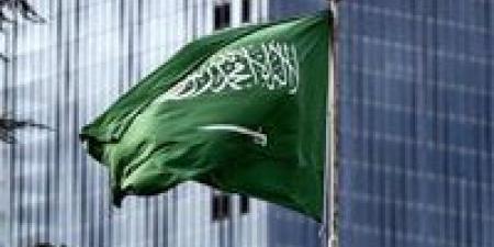 بالبلدي: السعودية تستثمر بالمليارات في جنوب إفريقيا