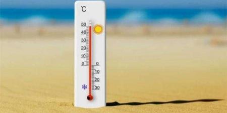 بالبلدي : الطقس
      غدا..
      شديد
      الحرارة
      وشبورة
      ورطوبة
      مرتفعة