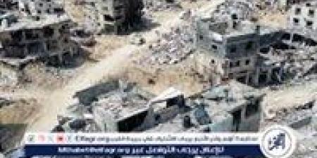 بالبلدي: "نداء
      عاجل"..
      الناس
      في
      غزة
      يسقطون
      مغشيًا
      عليهم
      في
      الشوارع
      من
      شدة
      الجوع