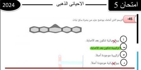 بالبلدي: 700
      سؤال
      بالاجابات
      في
      الأحياء
      لـ
      الثانوية
      العامة
      2025..
      أوعى
      تفوتها