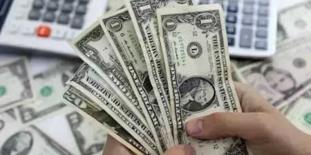 سعر
      الدولار
      يرتفع
      34
      قرشا
      وسط
      مبيعات
      الأجانب
      لأذون
      الخزانة
