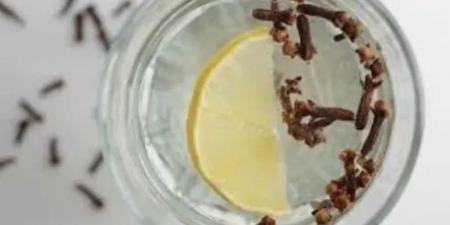 ماذا
      يحدث
      لجسمك
      عند
      تناول
      7
      حبات
      من
      القرنفل
      يوميًا؟