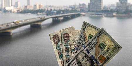 بالبلدي: مصر.. الاحتياطي النقدي يواصل صعوده ليصل إلى 53 مليار دولار.. ما تعليق الخبراء؟