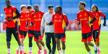 بالبلدي : لاعب
بلجيكا
يحذر
منتخب
مصر
قبل
مباراة
كأس
العالم:
لا
يمكن
إيقاف
دوكو