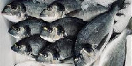 بالبلدي: أسعار
      السمك
      اليوم
      الإُنين
      15
      -
      6
      -
      2026