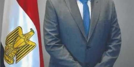 محافظة
      الإسكندرية
      تواصل
      إزالة
      الخطورة
      الداهمة
      بالعقارات
      حفاظًا
      على
      سلامة
      المواطنين