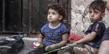 بالبلدي: حماس
      تدعو
      لمحاسبة
      إسرائيل
      بعد
      تقرير
      أممي
      عن
      جرائم
      ضد
      أطفال
      فلسطين