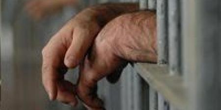 بالبلدي : حبس
      صاحب
      واقعة
      "حمارة
      القليوبية"
      عامًا
      بتهمة
      التعدي
      على
      حيوان