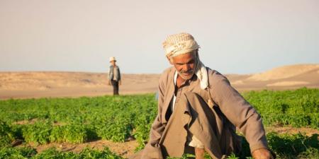 بالبلدي : سيكم
تحقق
نموًا
12%
في
2025..
الصادرات
تمثل
51%
من
المبيعات
وشبكة
المزارعين
تتجاوز
40
ألفًا