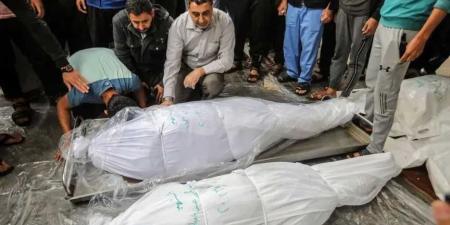 شهيد
      ومصابون
      جراء
      قصف
      سيارة
      غرب
      غزة
