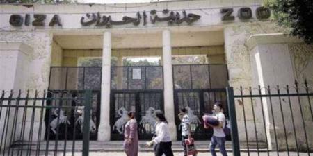 بالبلدي: موعد
      افتتاح
      حديقة
      الحيوان
      بالجيزة
      2026
      بعد
      التطوير
      الشامل