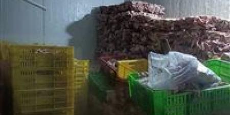 بالبلدي: ضبط
      42
      طنًا
      أغذية
      فاسدة
      ومنشأة
      تعيد
      تدوير
      مخلفات
      الفراخ
      في
      تصنيع
      منتجات
      غذائية
      بالجيزة
