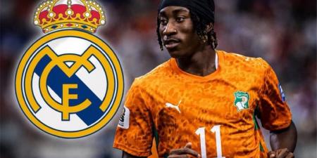 بالبلدي : مفاجأة
      غير
      متوقعة
      بشأن
      صفقة
      انتقال
      يان
      ديوماندي
      إلى
      ريال
      مدريد