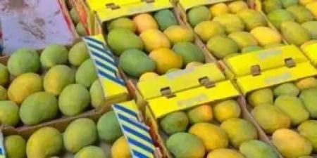 نقيب
الفلاحين
يكشف
موعد
انخفاض
أسعار
المانجو..
ظهور
أصناف
جديدة
خلال
أيام