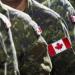بالبلدي: وزير الدفاع الكندى يشكو من نفاد مخزون بلاده من الذخيرة بسبب أوكرانيا