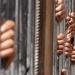 بالبلدي: 73 لفافة هيروين.. المشدد 6 سنوات للمتهمين بالإتجار في المواد المخدرة بالقليوبية belbalady.net