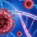 بالبلدي : اكتشاف آلية تؤثر على توليد متغيرات جديدة لفيروس كورونا