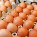 بالبلدي : شعبة المواد الغذائية: انخفاض ملحوظ في أسعار بيض المائدة