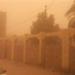 بالبلدي : عاصفة ترابية تغطي سماء أسوان.. وسقوط أمطار مفاجئة على بورسعيد | بث مباشر