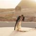 بالبلدي : الملياردير الهندي Ankur Jain يكشف لـ القاهرة 24 سبب إقامة حفل زفافه بمصر