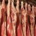 بالبلدي: سعر اللحوم في السوق المصري اليوم الاثنين 29 - 4 – 2024