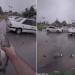 بالبلدي: فيديو.. أمطار تحمل أسماكاً تتساقط في شوارع إيران بالبلدي | BeLBaLaDy