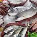 بالبلدي: أسعار السمك اليوم الاثنين 13 - 5 – 2024 في السوق المصري