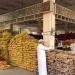 الإحصاء السعودية: معدل التضخم بأسعار الجملة يسجل 3.4 % خلال أبريل 2024 بالبلدي | BeLBaLaDy