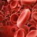 بالبلدي : أهمية بروتينات الدم.. تعطي تحذيرًا مبكرًا من الإصابة بالسرطان
